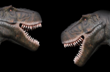 动物化石(探秘中国发现的惊人动物化石)