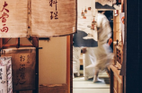 传统家具：传承千年的中华文化艺术