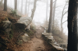 大雾岭：神秘的自然奇观