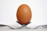 哪些食物含蛋白质最多？蛋的拼音日趋流行